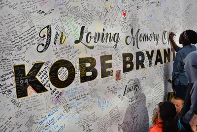 DSC_7161 (Large).JPG